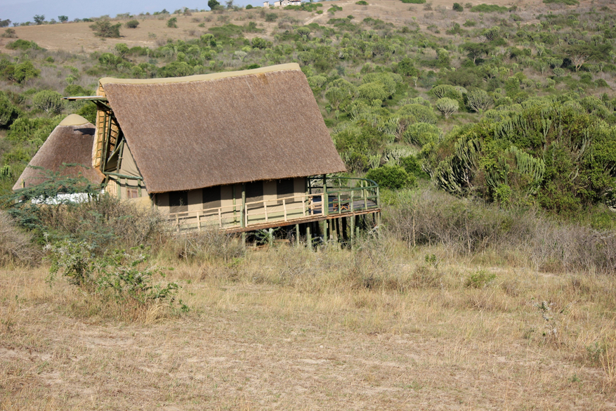 Kasenyi Safari Camp