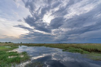 King Lewanika Lodge: Bewölkter Himmel