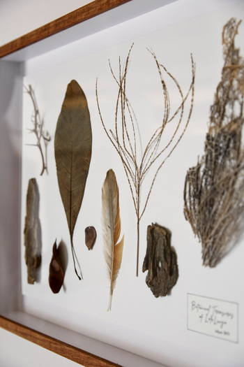 Lolelunga Private Reserve: Naturfundstücke im Rahmen