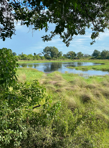 North Island Okavango Camp North Island Okavango Camp: Lagune
