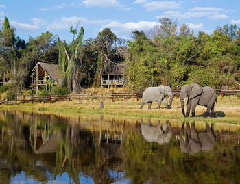 Savute Safari Lodge: Elefanten vor der Lodge
