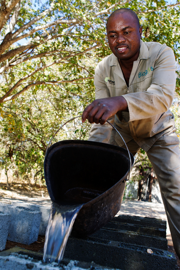 Chobe Game Lodge: Mischen von Glasmörtel