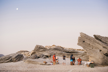 Coot Club: Aktivitäten