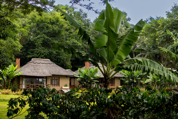 Kitela Lodge: Gästeunterkünfte