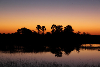 Macatoo Camp: Dämmerung