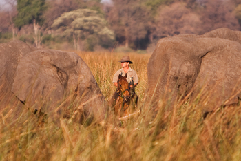 Macatoo Camp: Reiter zwischen Elefanten