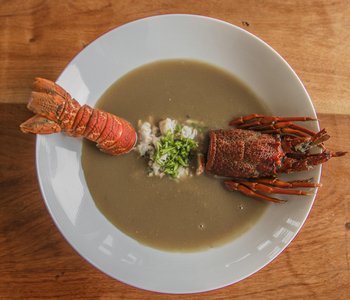 Pelican Point Lodge: Hummer