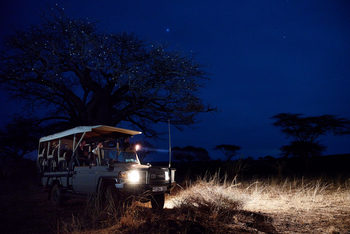 Sanctuary Swala: Safari bei Nacht