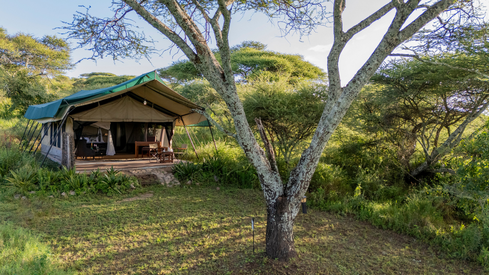Serengeti Woodlands Camp Serengeti Woodlands Camp: Executive Suite