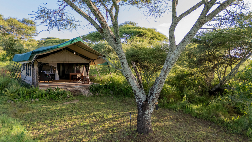 Serengeti Woodlands Camp Serengeti Woodlands Camp