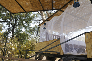 Shenton Safaris Shenton Safaris: Elephant Hide