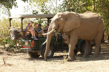 Vundu Camp Vundu Camp: Elefant und Gäste