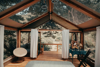 Wayo Manyara Green Camp: Blick in den Busch