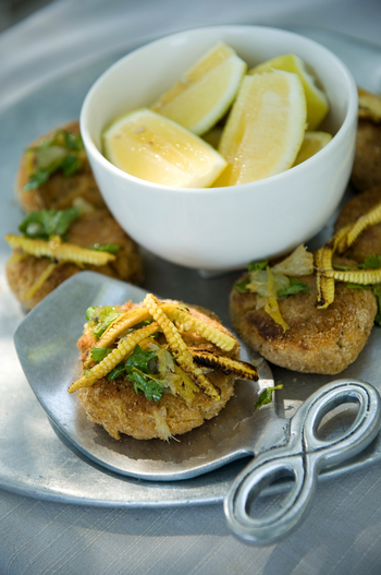 Zarafa Camp: Fischfrikadellen