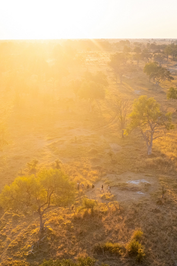 4 Rivers Camp 4 Rivers Camp: Walking Safari