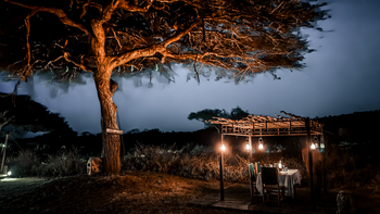 Asanja Moru: Dinner bei Nacht