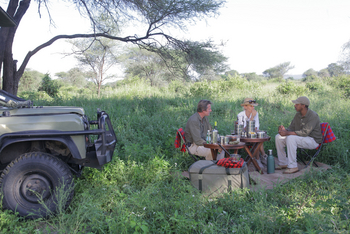Chem Chem Lodge: Picknick in Tarangire