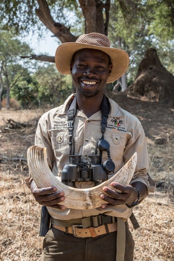 Chikoko Trails: Guide mit Nilpferdhauer