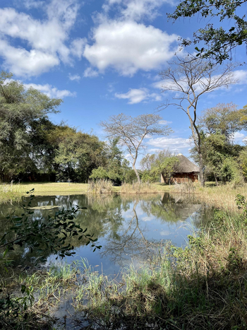 Chundukwa River Lodge: Gartenteich