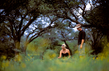 GocheGanas: Nature Walk