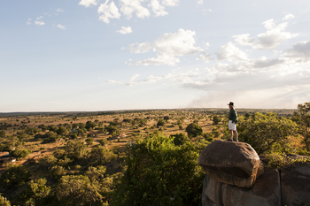 Lamai Serengeti: Ausblick