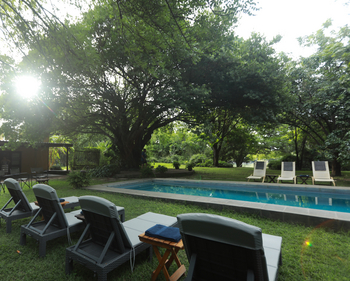 Maun Waterfront Guesthouse: Liegestühle am Pool