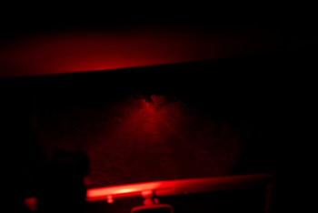 Mkomazi Wilderness Retreat: Rotes Licht beleuchtet Elefanten auf Piste