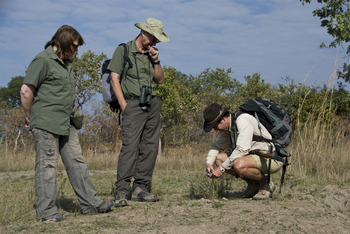 Ntemwa Busanga Bushcamp: Tracking