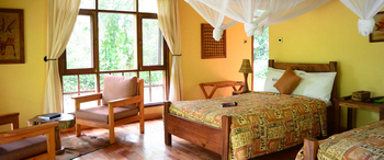 Primate Lodge: Einzelbett