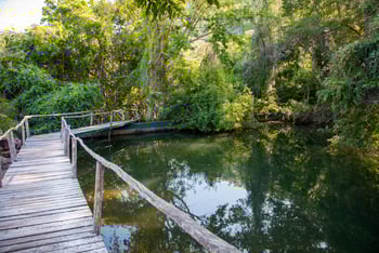 Pumulani Lodge: Kleiner Teich