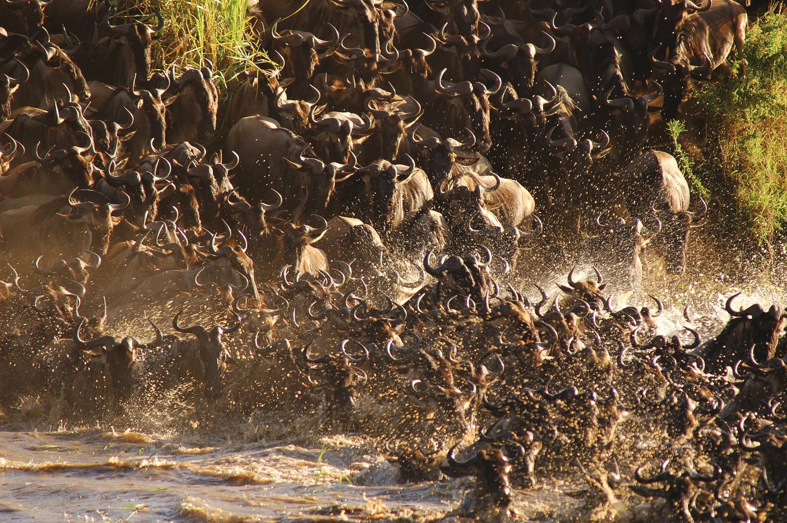 Saruni Mara Camp Saruni Mara Camp: Crossing