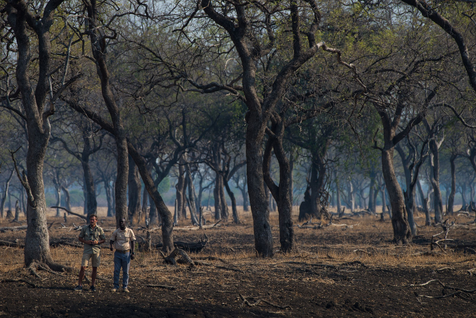 Shawa Luangwa Camp Shawa Luangwa Camp