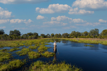 Camp Khwai: Poler im Mokoro