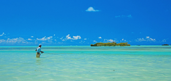 Cosmoledo Eco Camp: Flyfisher