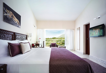 Gir Serai Hotel: Superior Room