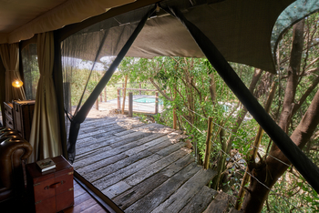 Jahazi Suite at Mara Plains: Zugang zum Pool