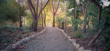 Jim's Jungle Retreat: Pfad durchs Gelände