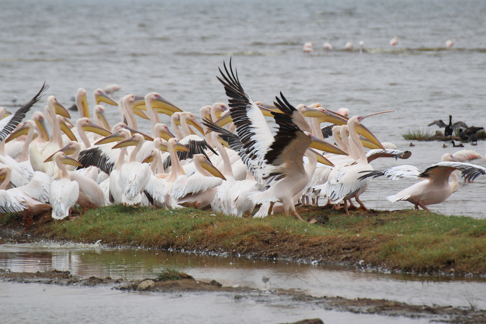 Lake Nakuru Sopa Lodge Lake Nakuru Sopa Lodge