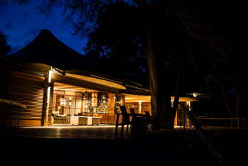 Little Mombo Camp: Lounge