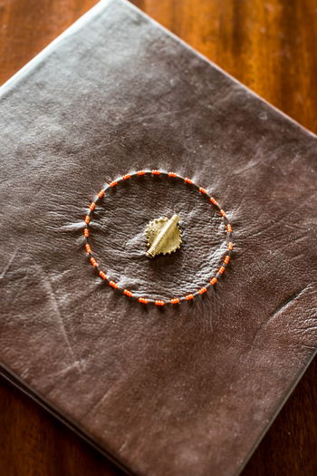 Losokwan Luxury Tented Camp: Gästebuch