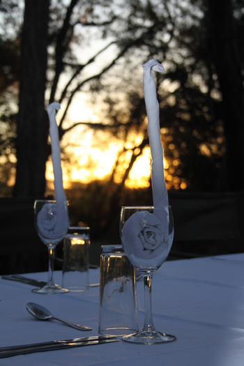 Macatoo Camp: Gestärkte Reiherhälse