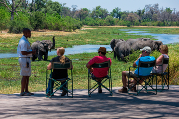 Machaba Camp: Elefanten am Flussufer