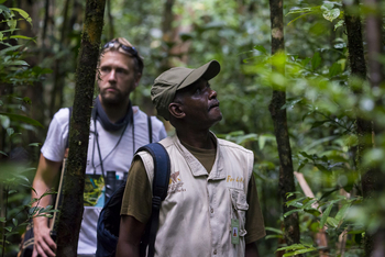 Masoala Forest Lodge: Ausflug in den Nationalpark