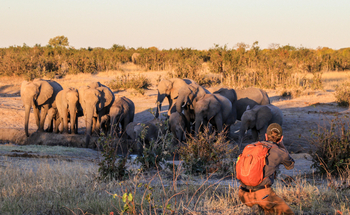 Nehimba Lodge: Fotograf