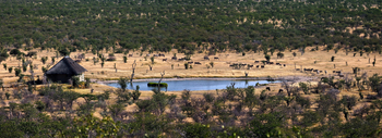 Safarihoek Lodge Safarihoek Lodge: Beobachtungsunterstand und Wasserloch