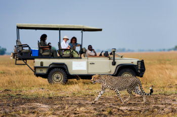 Shumba Camp Shumba Camp: Gepard