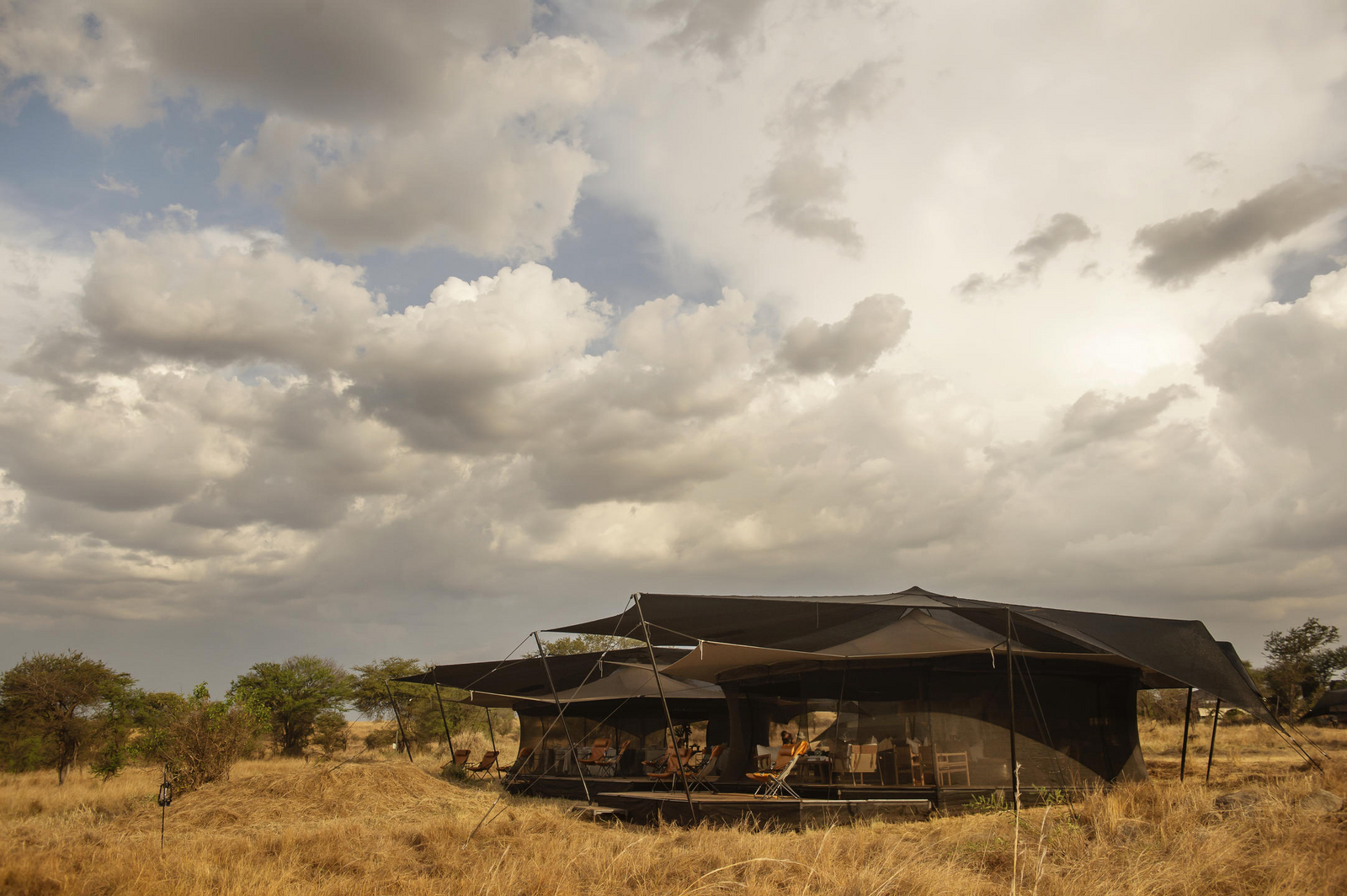 Siringit Migration Camp Siringit Migration Camp: Zeltpanorama