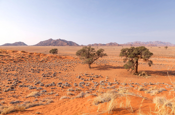 Sossusvlei Lodge: Elim Dune Walk