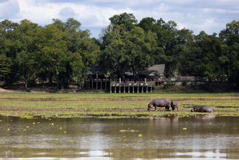 Sungani Lodge Sungani Lodge: Hippos vor der Lodge