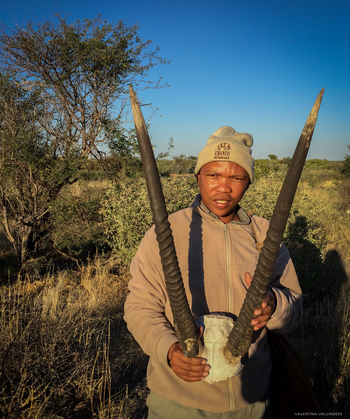 Tau Pan Camp Tau Pan Camp: Guide mit Antilopenschädel